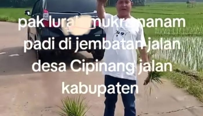 Aksi Tanam Padi Pada Ruas Jalan Kabupaten Diduga Dilakukan Kepala Desa Di Kabupaten Pandeglang